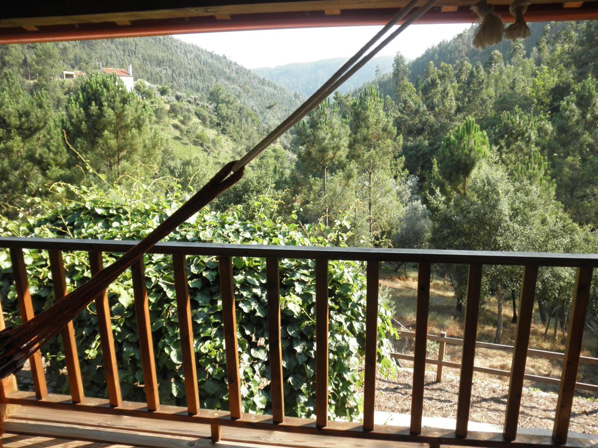 Casa Velha Villa Figueiro Dos Vinhos Ngoại thất bức ảnh