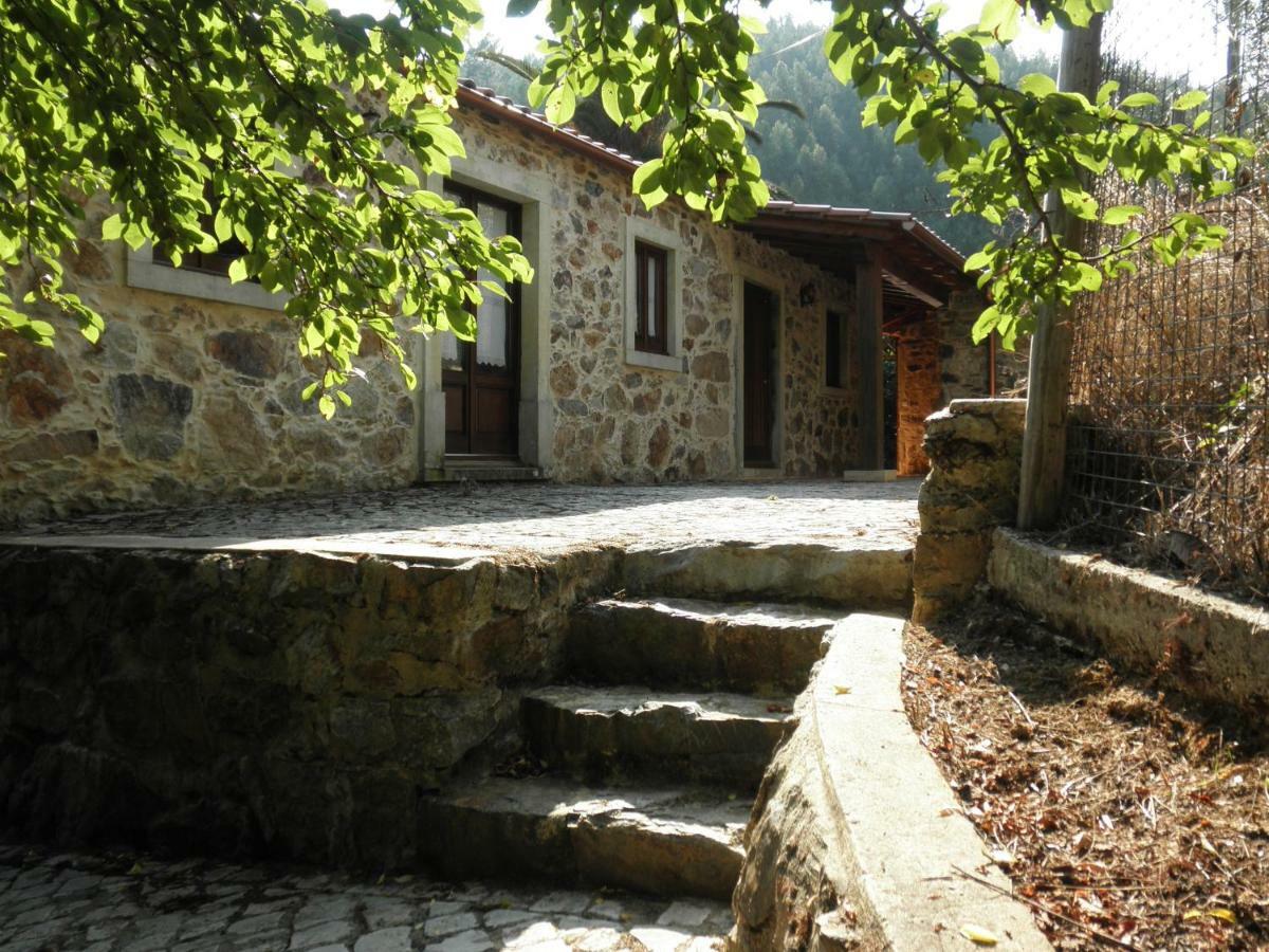 Casa Velha Villa Figueiro Dos Vinhos Ngoại thất bức ảnh